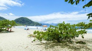 Pousada da Praia - Praia do Felix, Ubatuba / SP