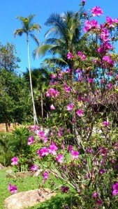 Pousada da Praia do Félix · Primavera