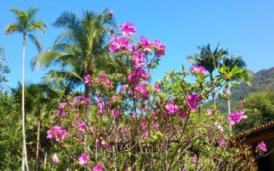 Primavera, época perfeita para curtir uma praia.