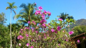 Pousada da Praia do Félix · Primavera